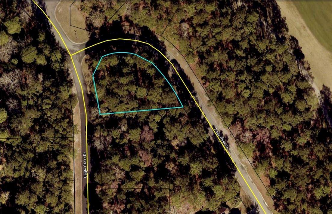00 Eagle Crest Drive - Photo 1