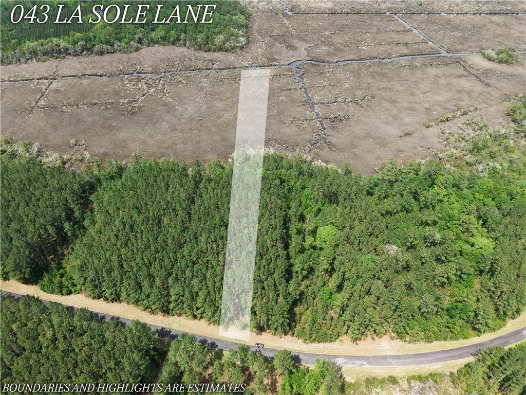 Lot 43 La Sole Lane - Photo 1