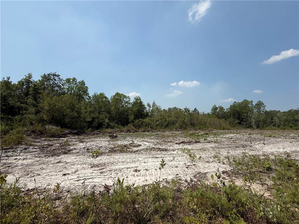 0 Mineral Springs Road - Photo 1