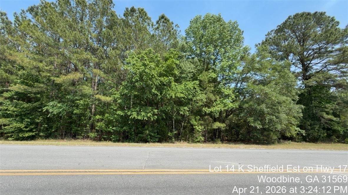 Lot 14 K Sheffield Est On Hwy 17 Highway - Photo 1