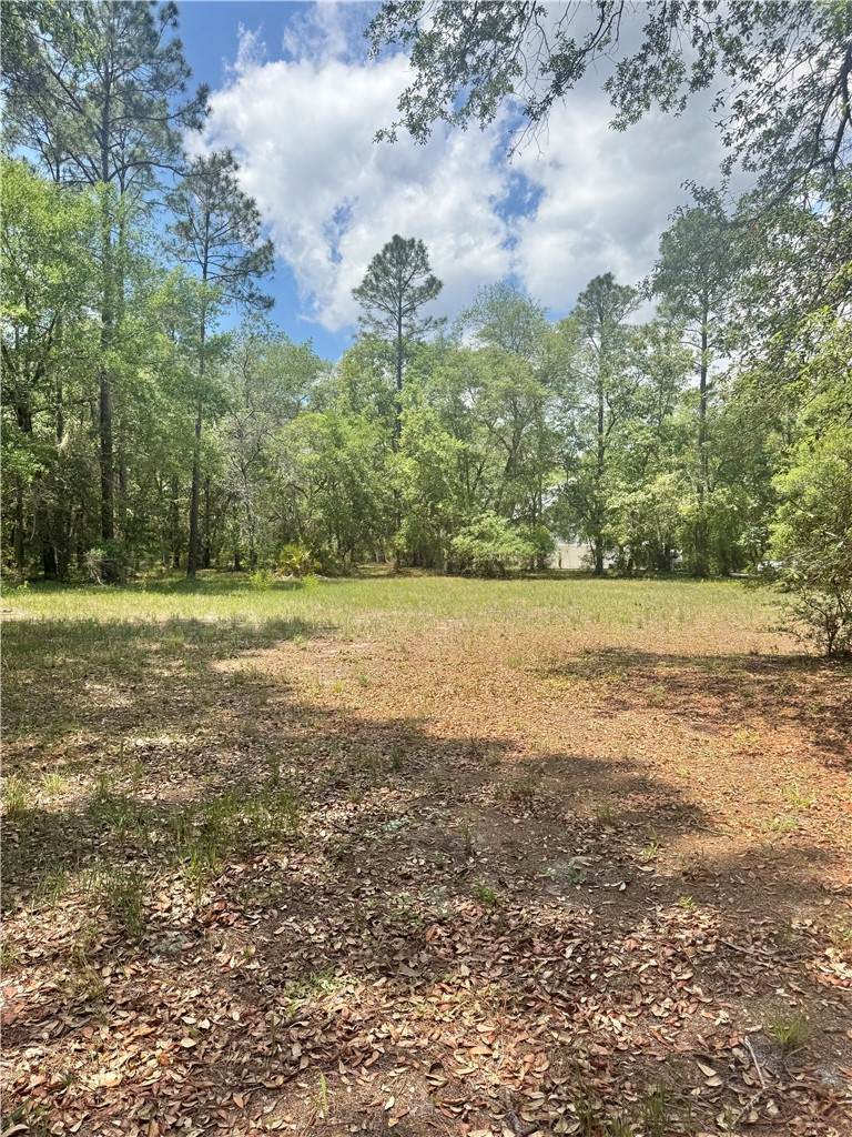 https://bt-photos.global.ssl.fastly.net/goldenisles/orig_boomver_2_1661813-2.jpg