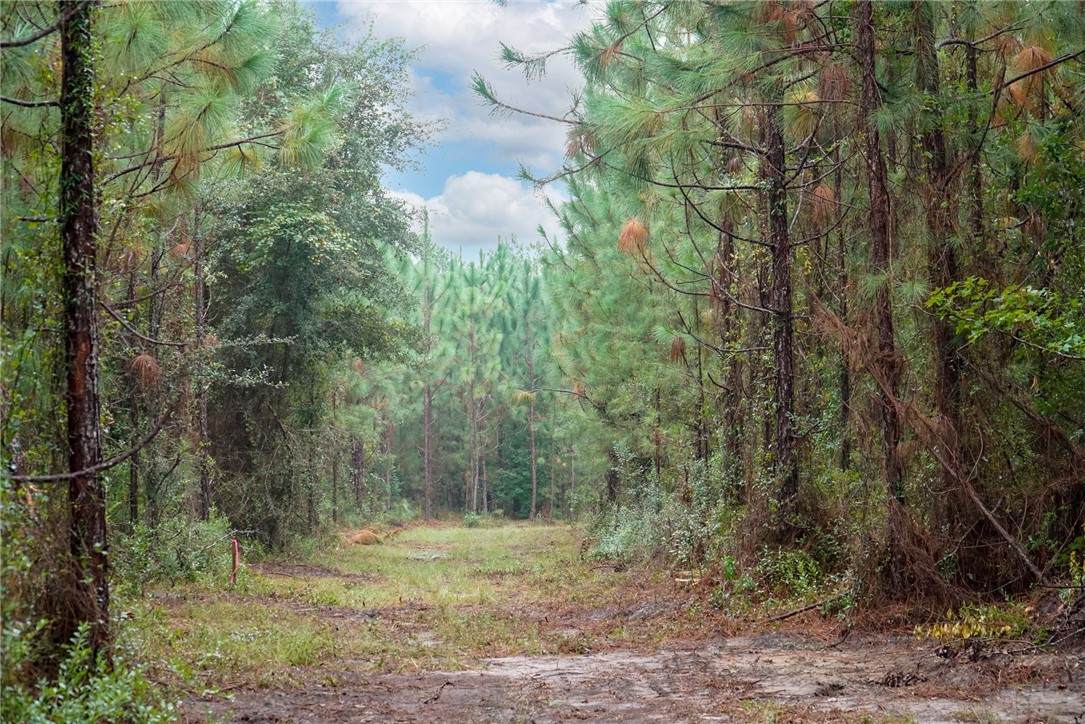 2 tract Old Saddle Way Road - Photo 1