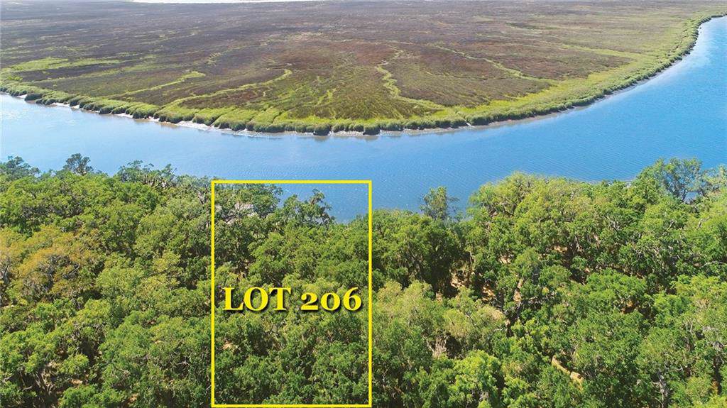 374 Pike's Bluff Drive (Lot 206) - Photo 1