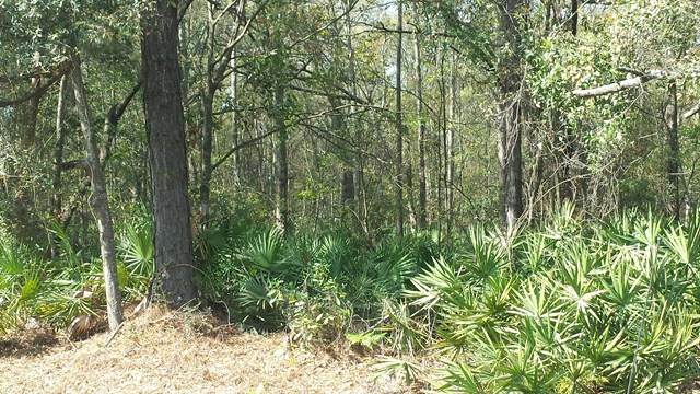 5033 Habersham Street - Photo 1
