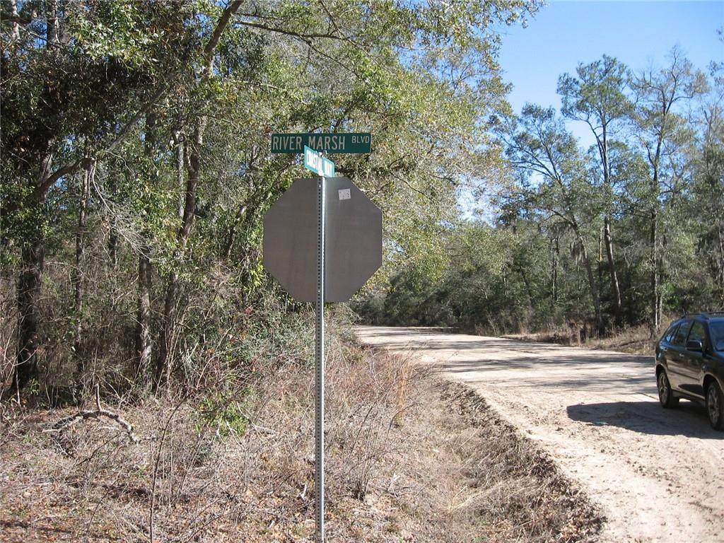 River Marsh Blvd - Photo 1