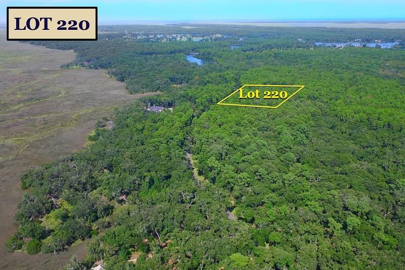 305 Pikes Bluff Drive - Photo 1