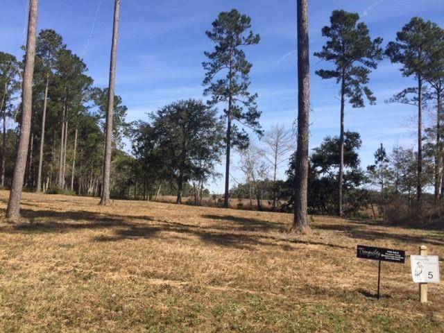 5 Retreat Lane - Photo 1