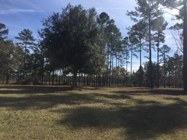 7 Baker Island Way - Photo 1