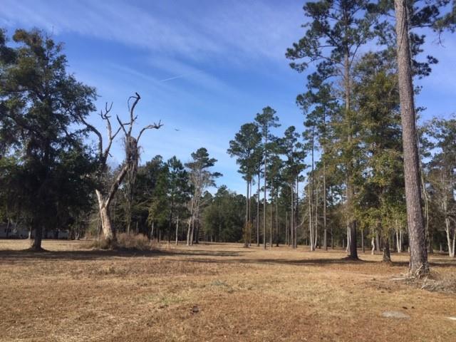 36 Baker Island Way - Photo 1