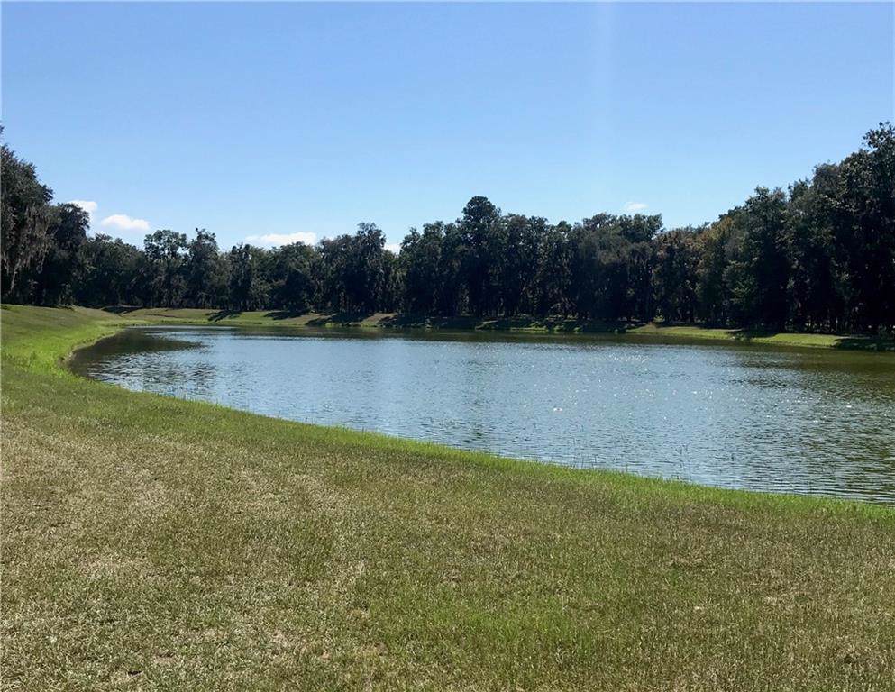 914 Hidden Lagoon Lane - Photo 1