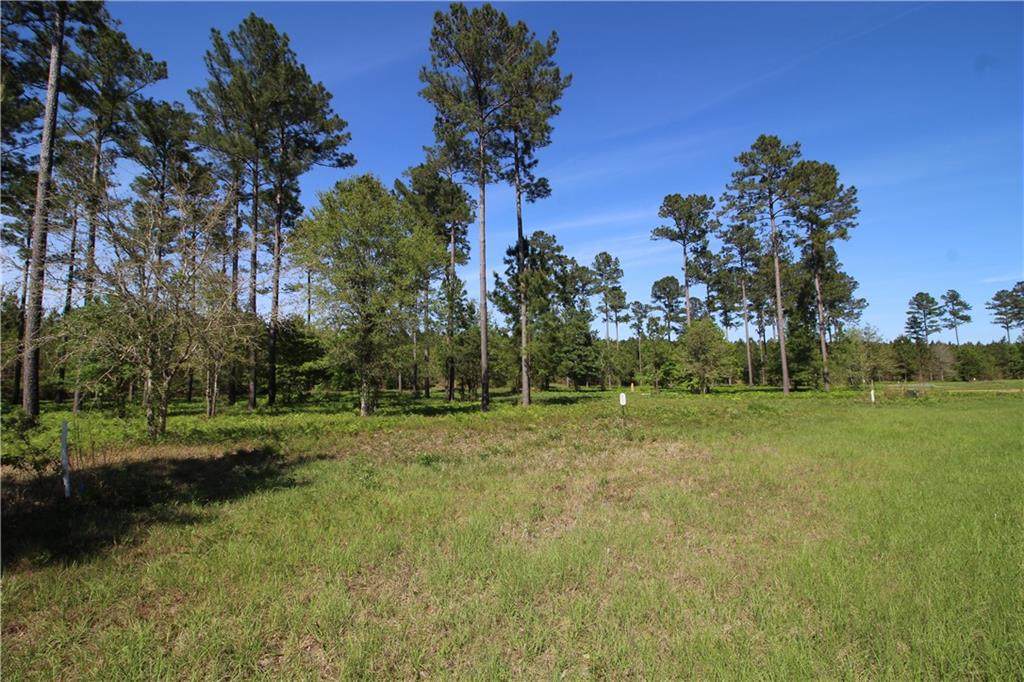 287 Salt Creek Way - Photo 1