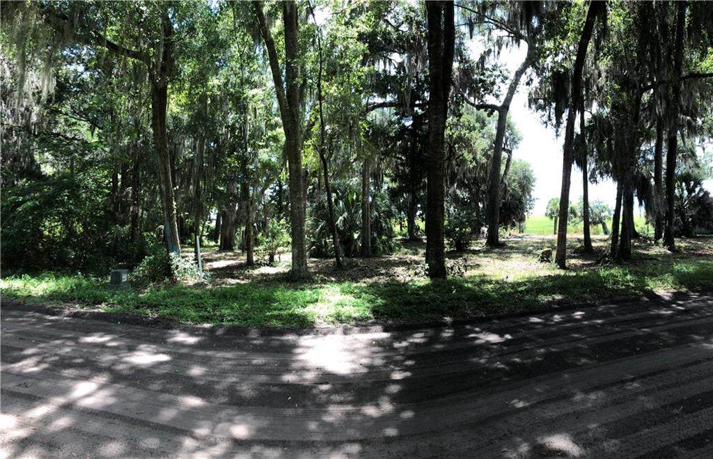 Lot 18 Youmans Road - Photo 1