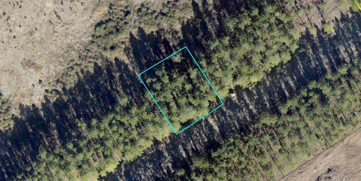 Lot 290 Vanderbilt Place - Photo 1