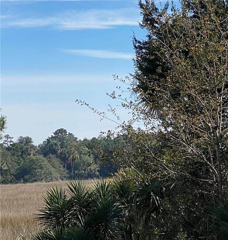 11 & 12 Blue Heron Lane Lane - Photo 1