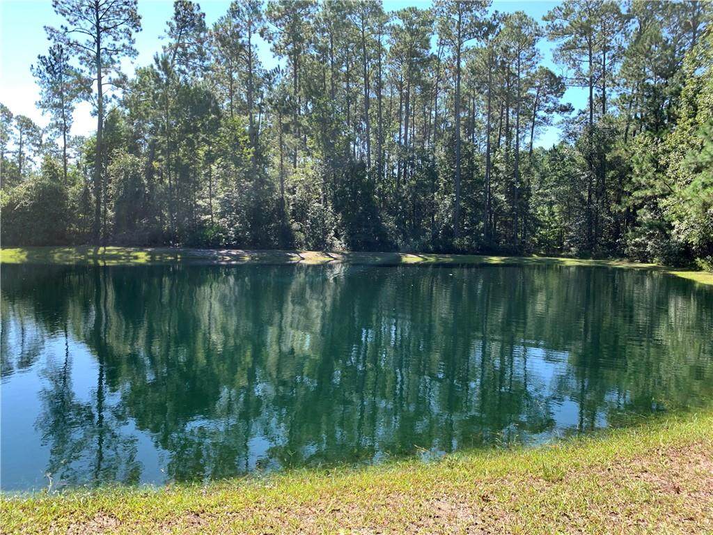 Lot 172 Winterberry Court - Photo 1