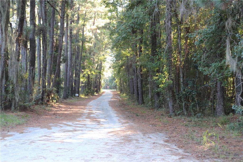 Lot 1 South Newport - Old Highway 17 Road - Photo 1