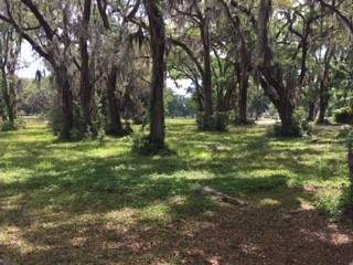 Lot 316 Cooper's Point Drive - Photo 1