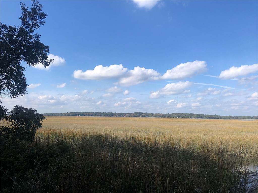 6 Goldfinch Loop - Photo 1