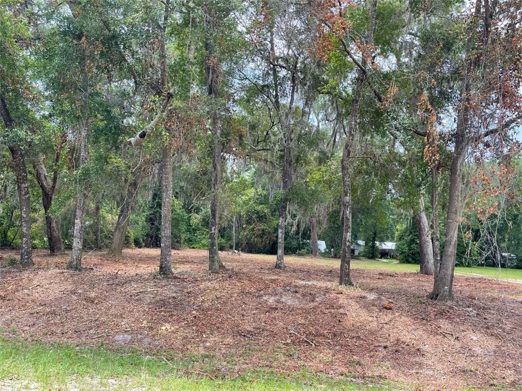 Lot 57 Hwy 259 - Photo 1