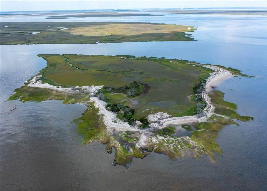 Little Raccoon Key Island - Photo 1