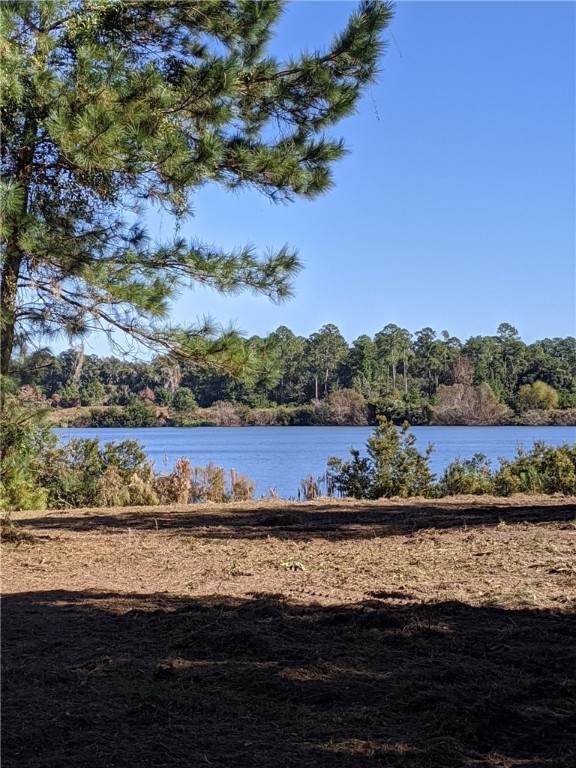 1235 Pikes Bluff Road Road - Photo 1