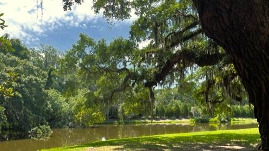 2404 Frederica Road - Photo 1