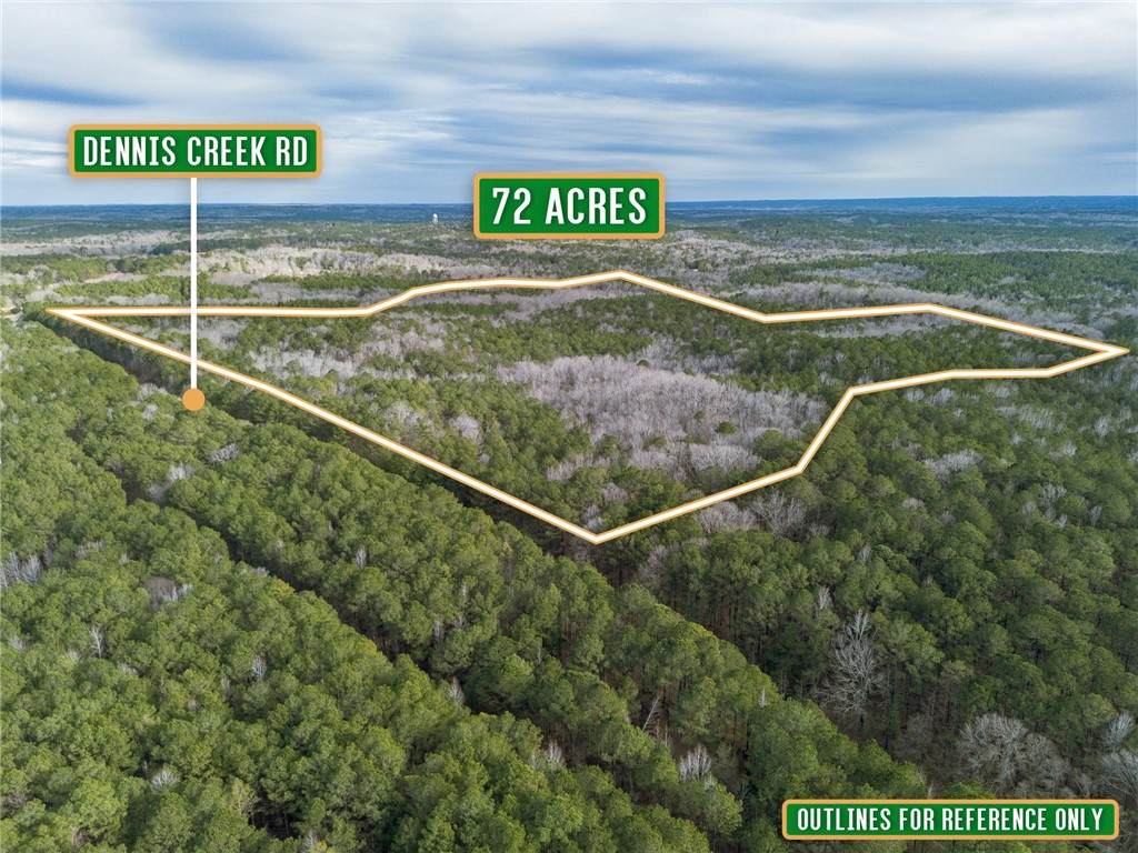 0 Dennis Creek Road - Photo 1
