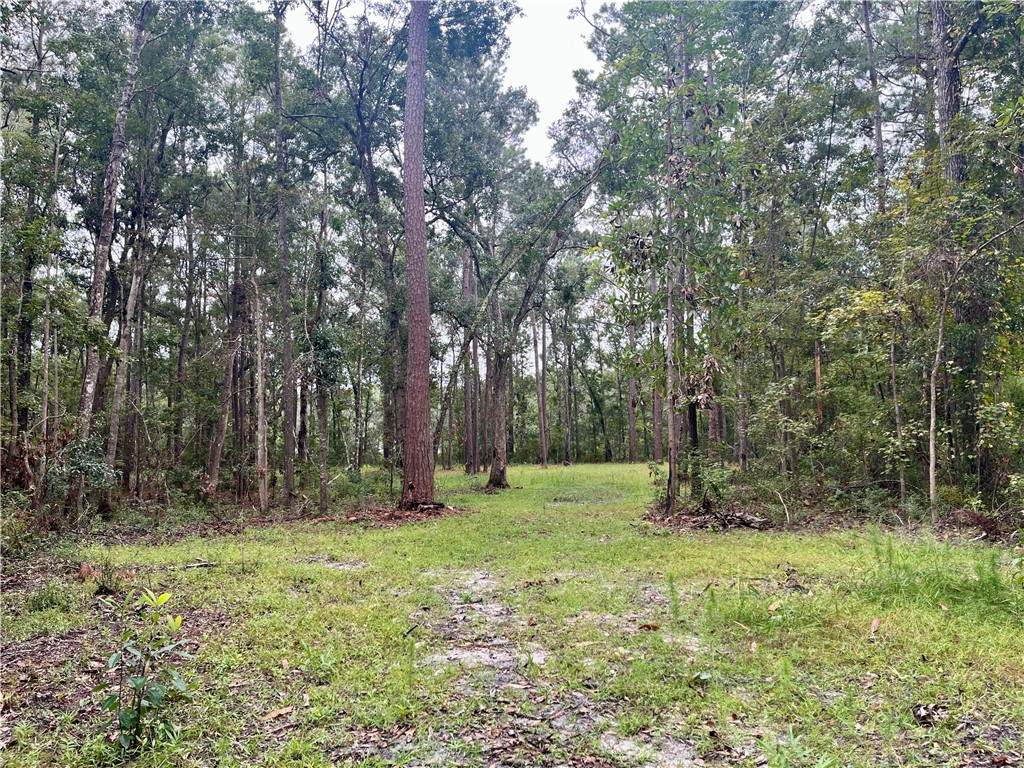 https://bt-photos.global.ssl.fastly.net/goldenisles/orig_boomver_2_1657012-2.jpg