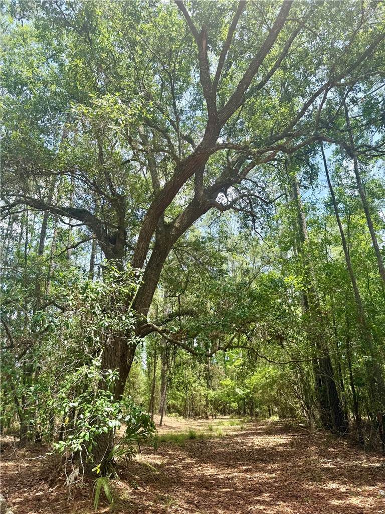 0 Timber Landing Road - Photo 1