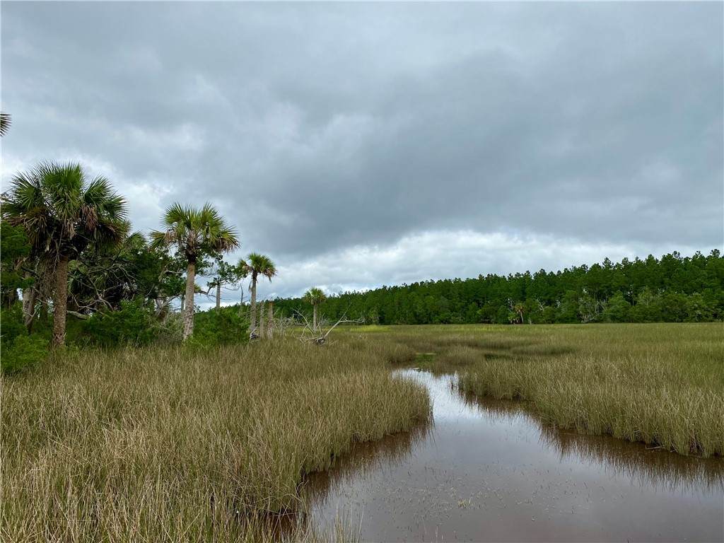 https://bt-photos.global.ssl.fastly.net/goldenisles/orig_boomver_2_1658905-2.jpg