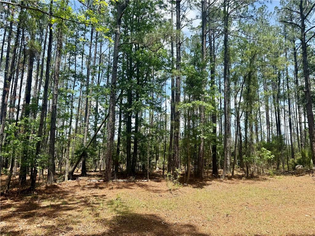 https://bt-photos.global.ssl.fastly.net/goldenisles/orig_boomver_2_1658905-2.jpg
