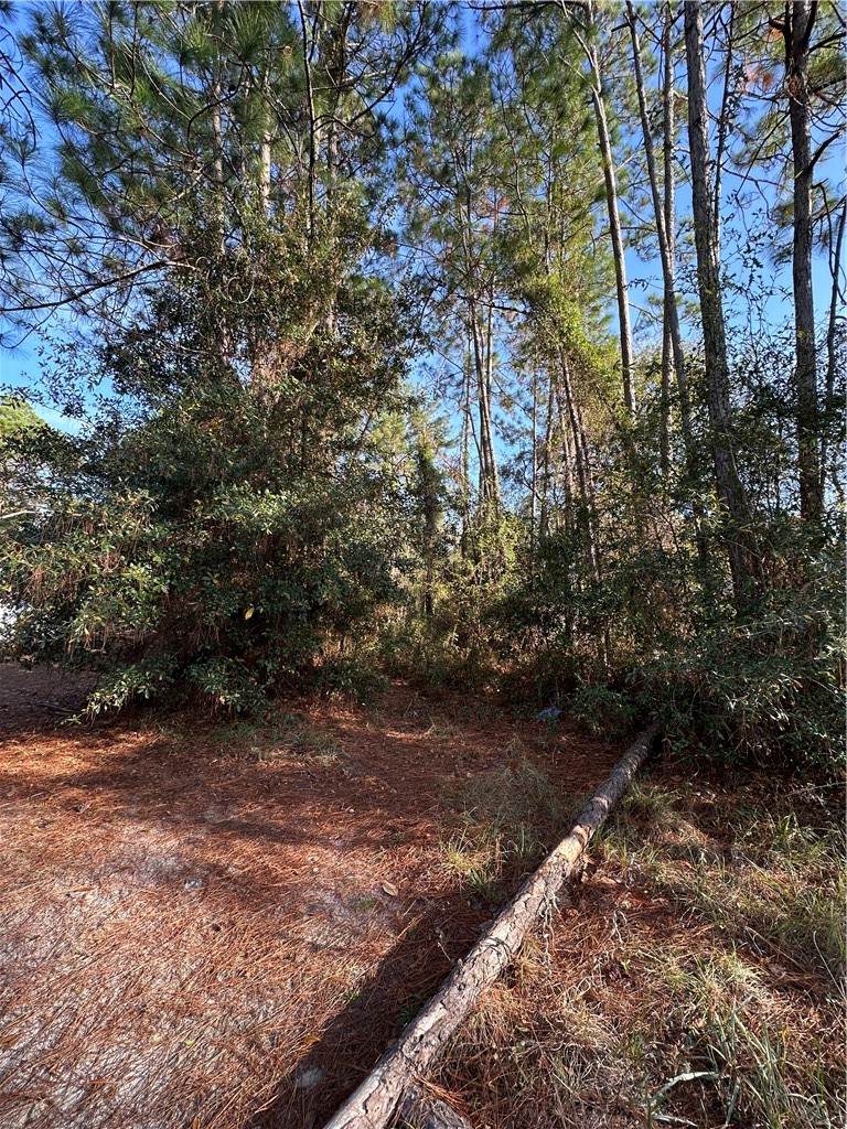 https://bt-photos.global.ssl.fastly.net/goldenisles/orig_boomver_2_1658912-2.jpg