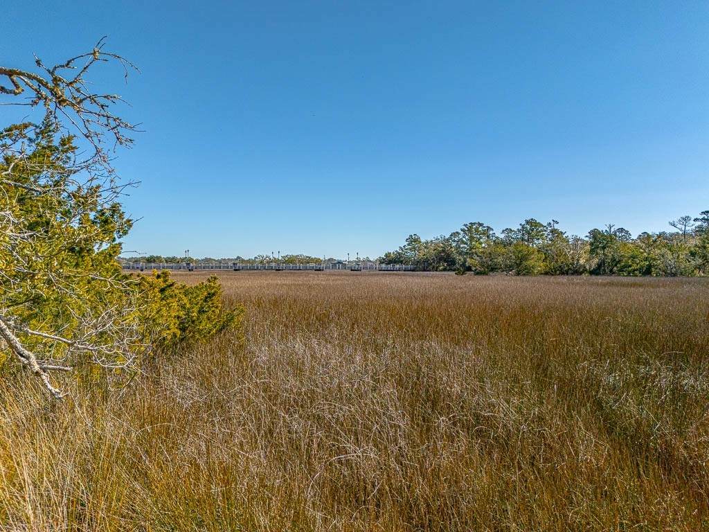https://bt-photos.global.ssl.fastly.net/goldenisles/orig_boomver_2_1659130-2.jpg