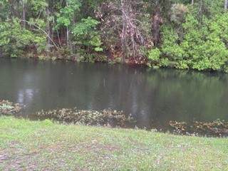 https://bt-photos.global.ssl.fastly.net/goldenisles/orig_boomver_2_1660804-2.jpg