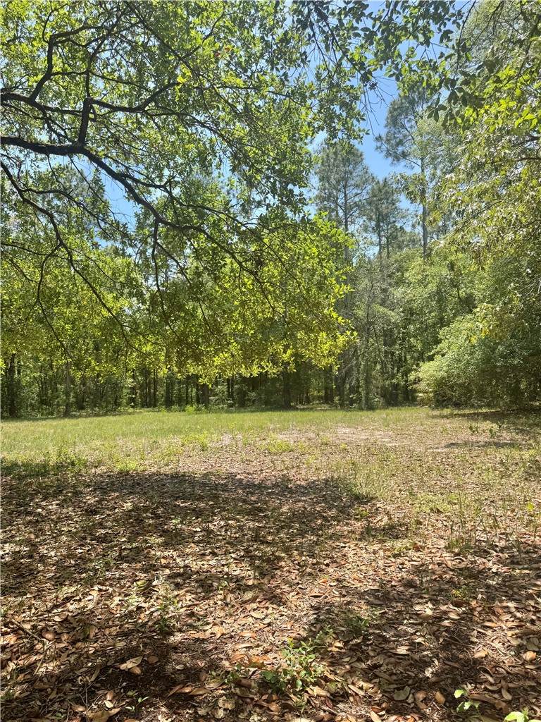 https://bt-photos.global.ssl.fastly.net/goldenisles/orig_boomver_2_1661813-2.jpg