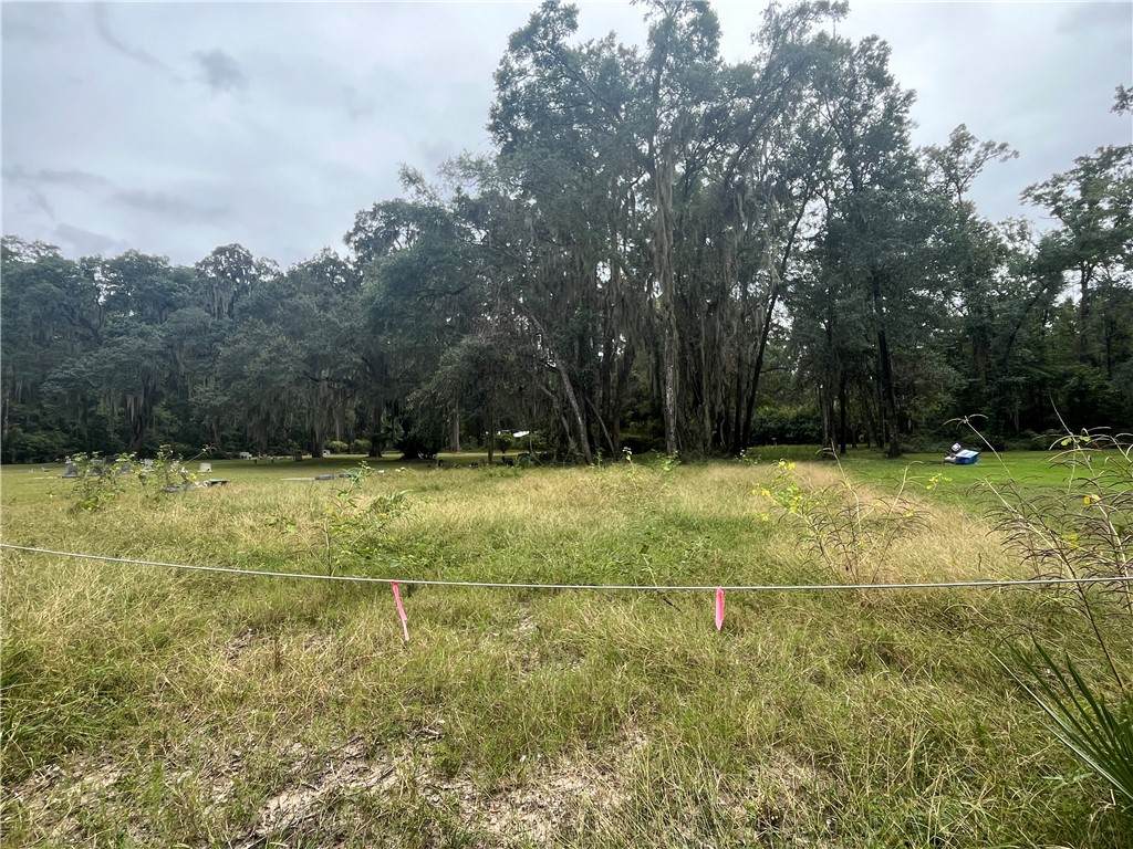 1182 Fiddler Crab Drive - Photo 1