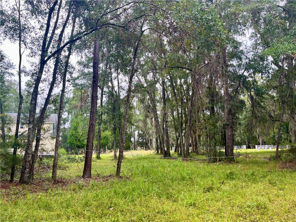 https://bt-photos.global.ssl.fastly.net/goldenisles/orig_boomver_3_1657025-2.jpg