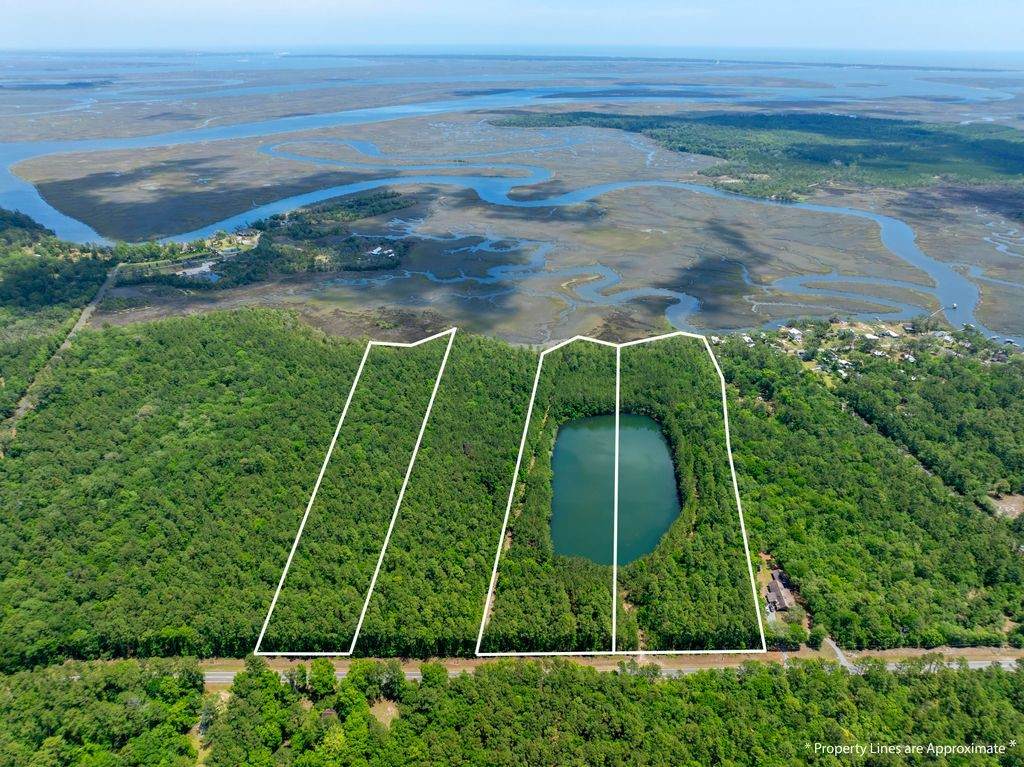 0 21 Acres Dover Bluff Road - Photo 1
