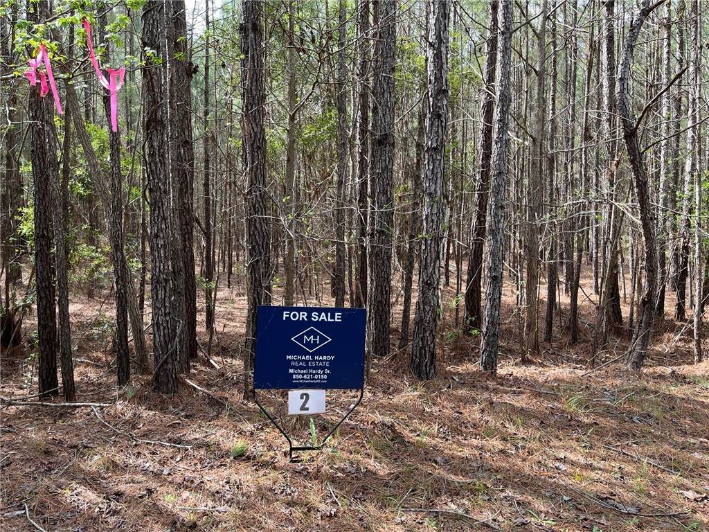 Lot 2 Barnstorm Road - Photo 1