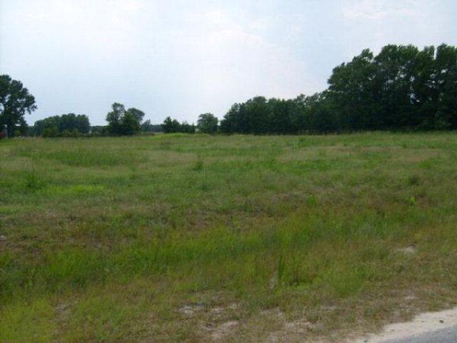 81 H.T. Vann Lane - Photo 1