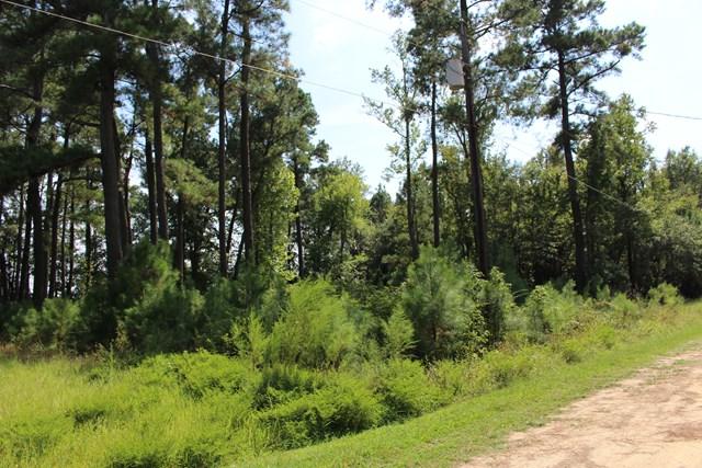 03 Endglewood Dr - Photo 1