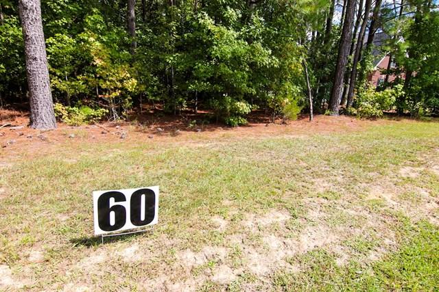 57 Water Mint Place - Photo 1
