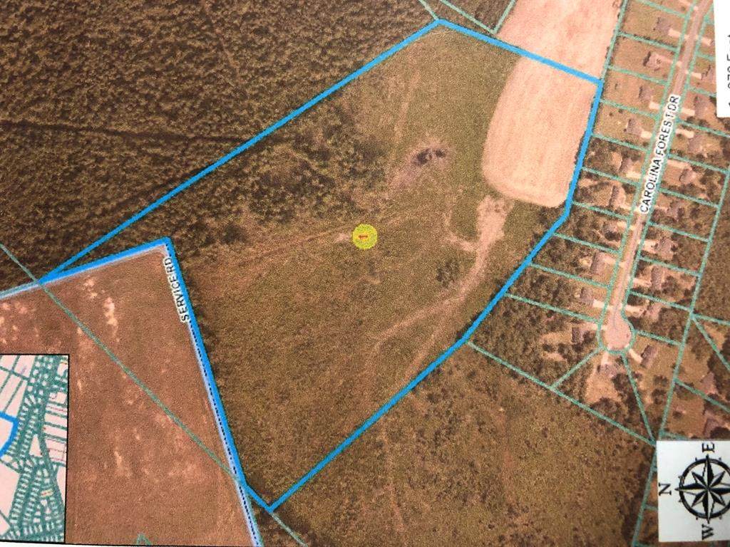 0000 Mt Airy Road - Photo 1