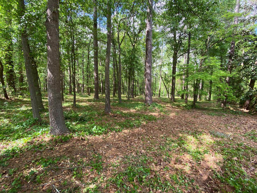 lot 5 Dellwood Pl - Photo 1
