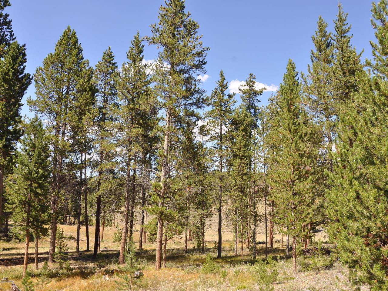 402 Gcr 5167 Aka Mountain Peak Rd - Photo 1
