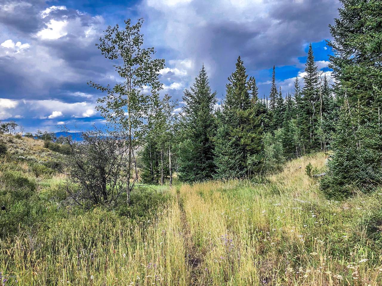 TBD County Road 373 - Photo 1