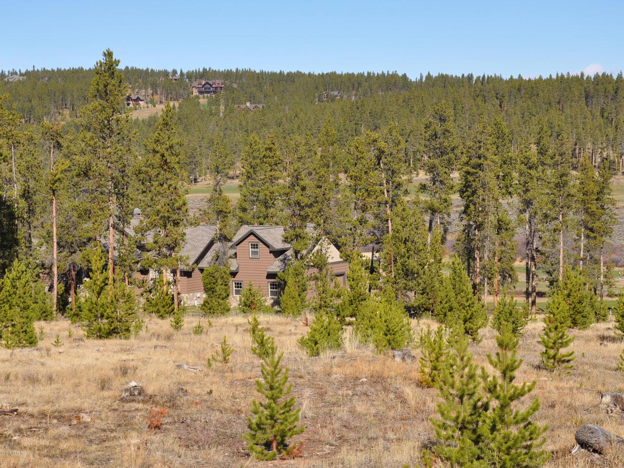 1250 Wildberry Lane Aka Gcr 519 - Photo 1