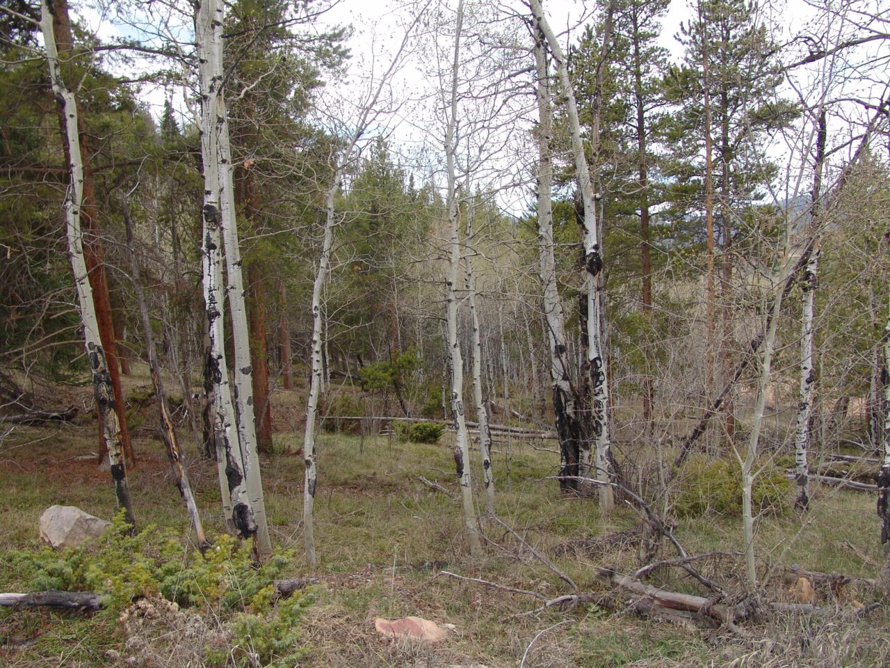 574 Gcr 899 Overlook Drive - Photo 1