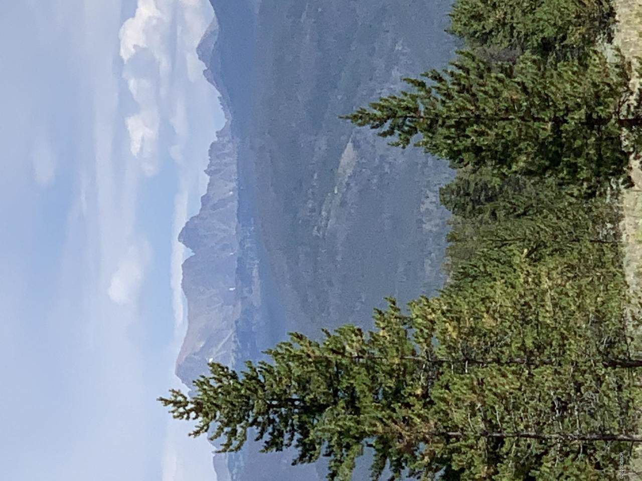 37 County Rd 5171-A Road - Photo 1