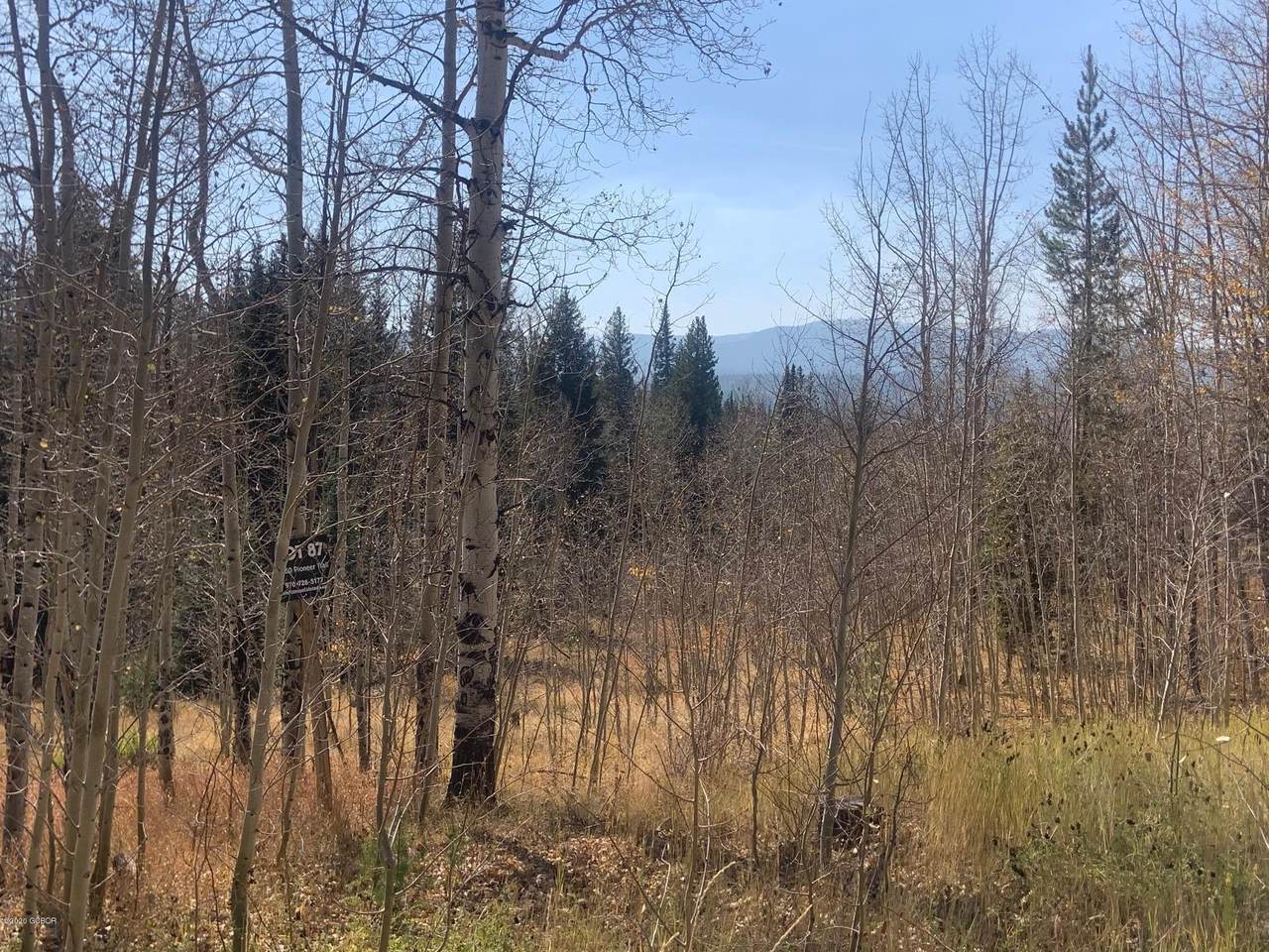 2060 Pioneer Trail - Photo 1